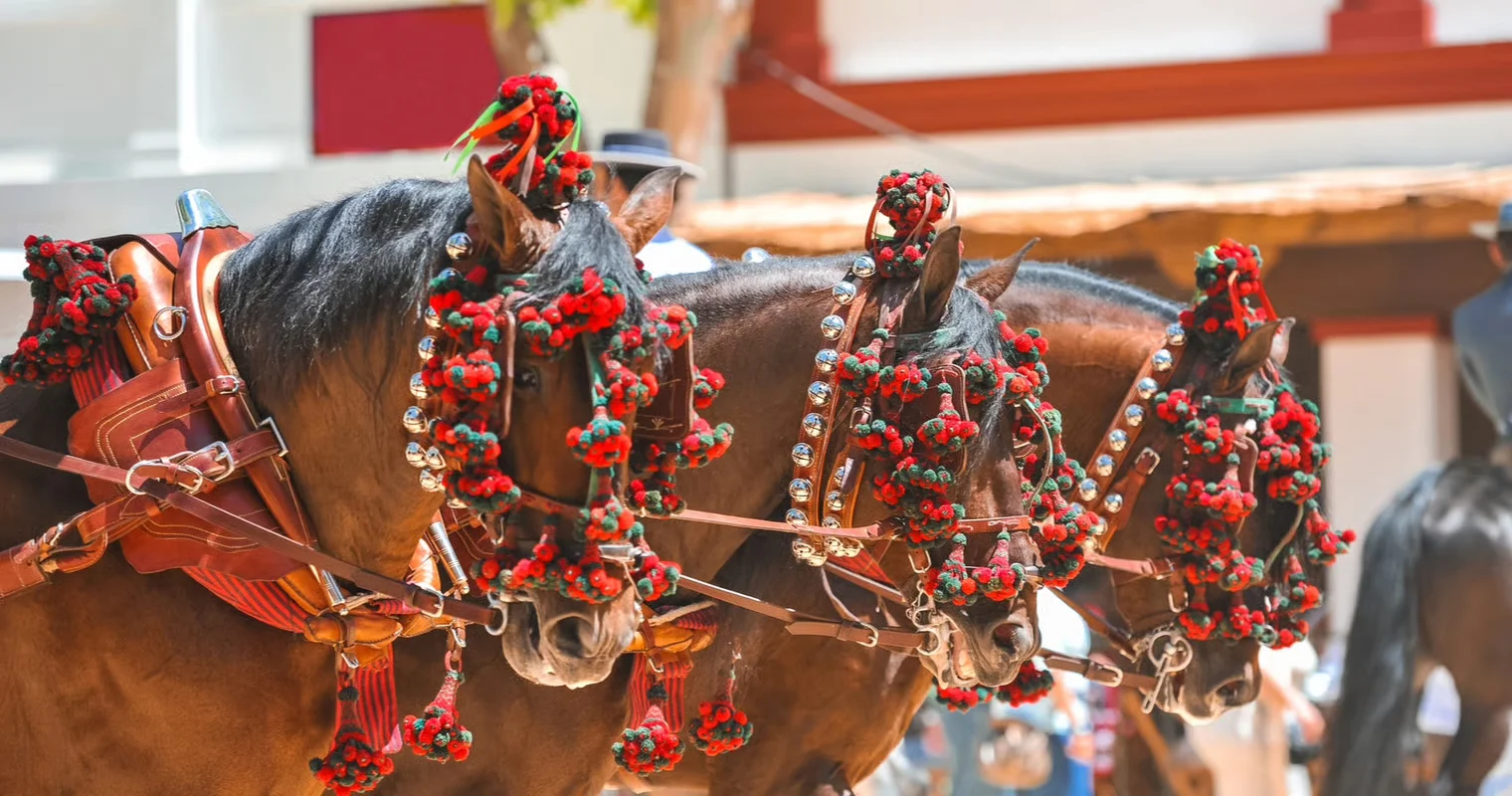 Херес-де-ла-Фронтера